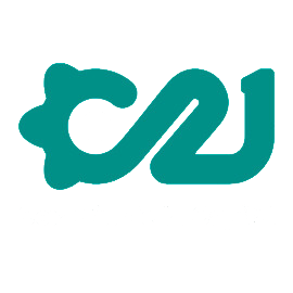 Capital 21