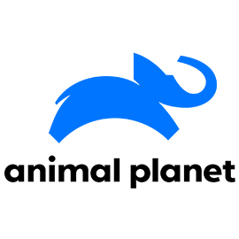 282 | ANIMAL PLANET